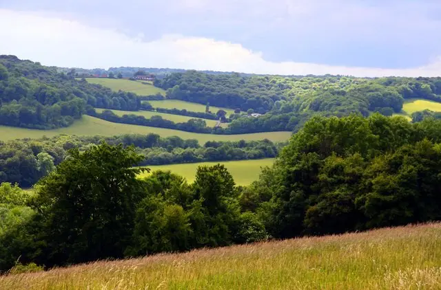 View of Buckinghamshire
