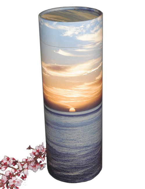 Ash scattering tube