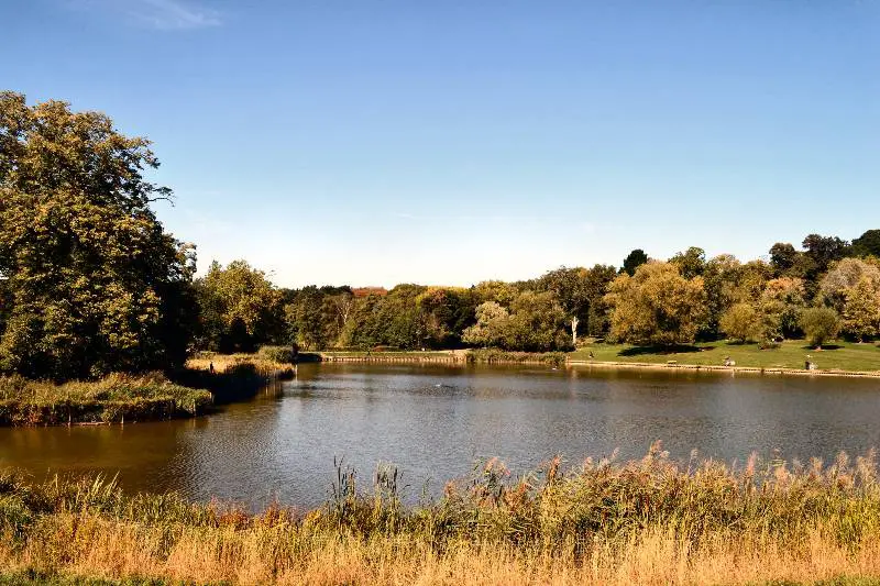 London Hampstead Heath Pond