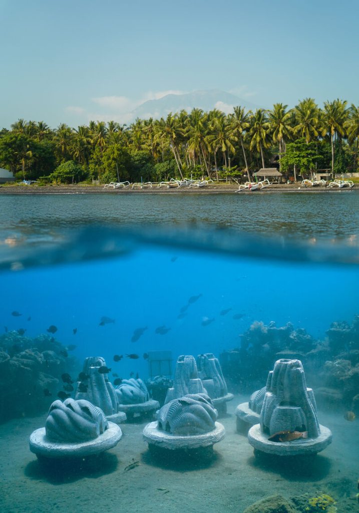 Underwater image of a Memorial Reef